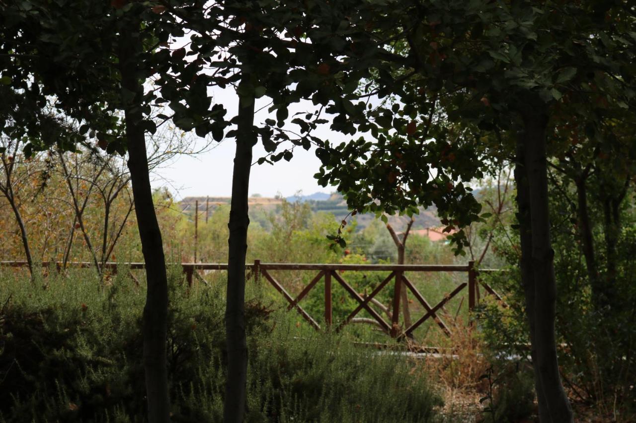 Georgiou Villa In Action Pelendri Exterior photo