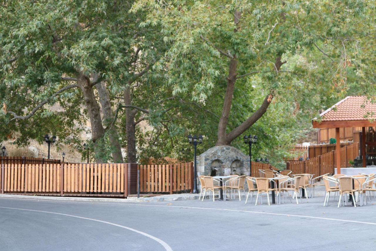 Georgiou Villa In Action Pelendri Exterior photo
